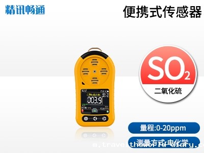 便携式二氧化硫气体检测仪