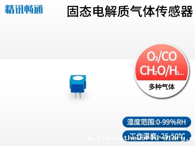 固态电解质气体传感器